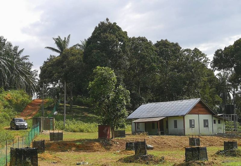 Agri Land Bukit Tagar Rawang Hulu Selangor