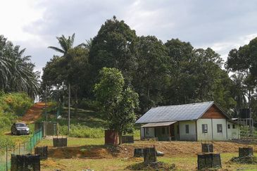 Agri Land Bukit Tagar Rawang Hulu Selangor