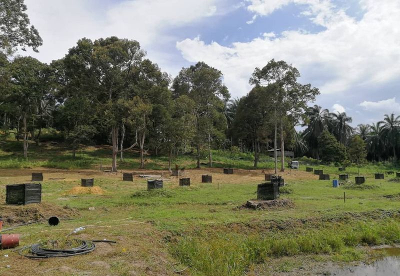 Agri Land Bukit Tagar Rawang Hulu Selangor