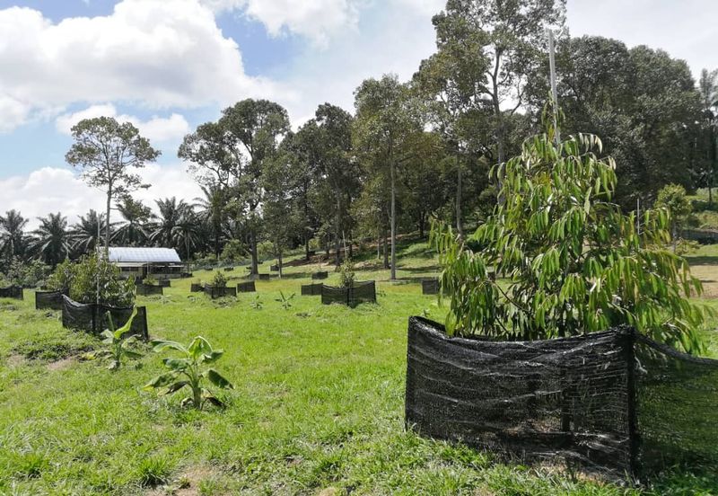 Agri Land Bukit Tagar Rawang Hulu Selangor