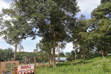 Agri Land Bukit Tagar Rawang Hulu Selangor