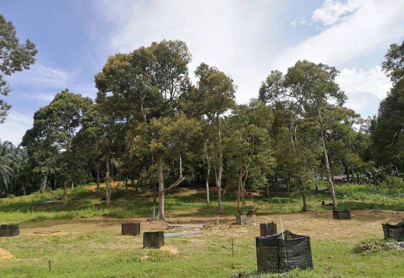 Agri Land Bukit Tagar Rawang Hulu Selangor