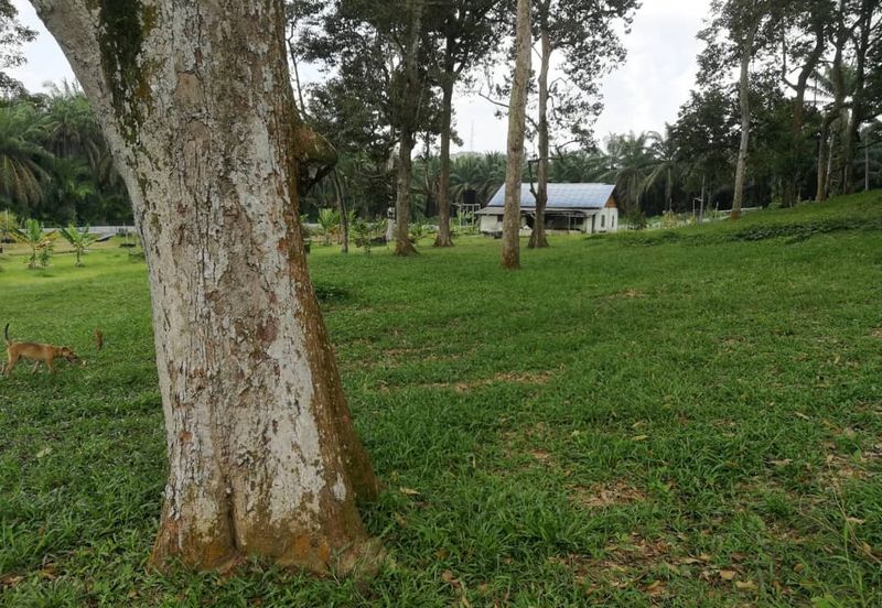Agri Land Bukit Tagar Rawang Hulu Selangor