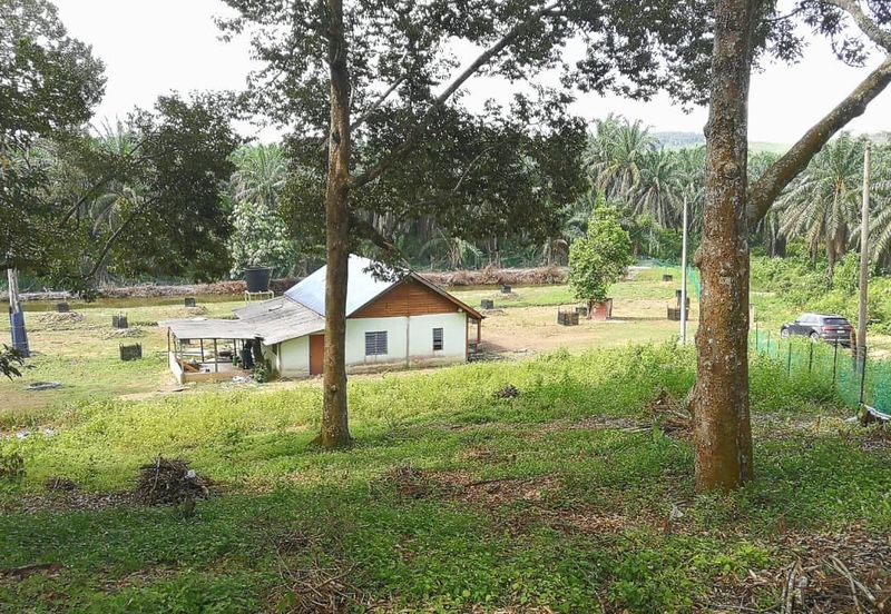 Agri Land Bukit Tagar Rawang Hulu Selangor