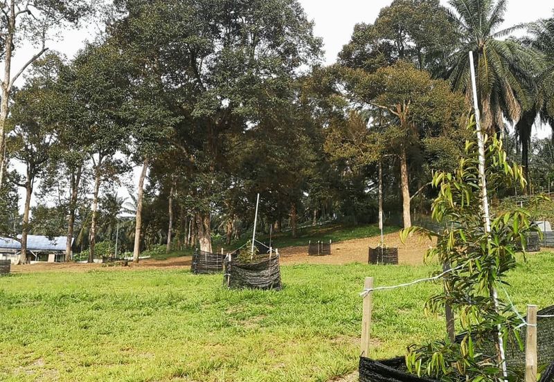 Agri Land Bukit Tagar Rawang Hulu Selangor