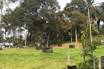 Agri Land Bukit Tagar Rawang Hulu Selangor