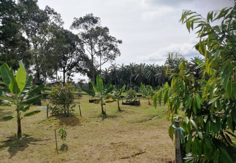 Agri Land Bukit Tagar Rawang Hulu Selangor