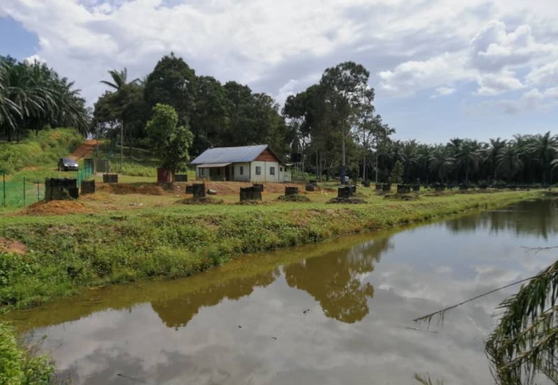 Agri Land Bukit Tagar Rawang Hulu Selangor