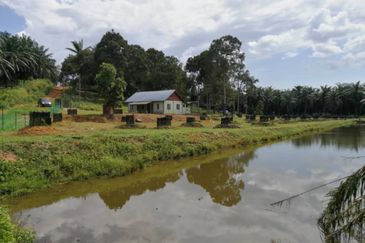 Agri Land Bukit Tagar Rawang Hulu Selangor
