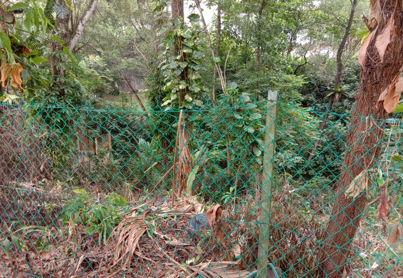 Damansara Heights (Bukit Damansara)