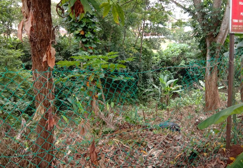 Damansara Heights (Bukit Damansara)