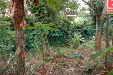 Damansara Heights (Bukit Damansara)