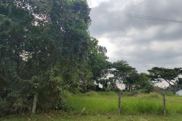 Taman Nusa Perintis 2