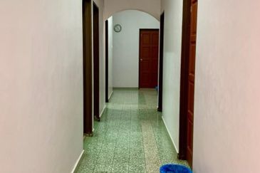 Stulang Laut / Darat