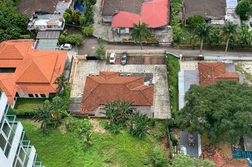 Stulang Laut / Darat