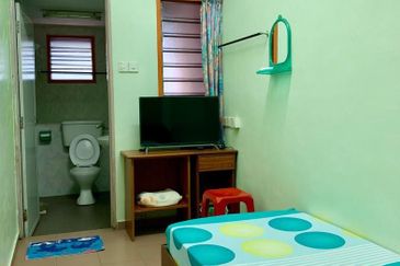 Stulang Laut / Darat