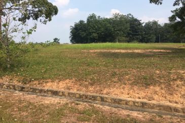 College Heights Garden Resort