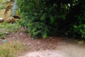 Seberang Perai Property Insights On Edgeprop My