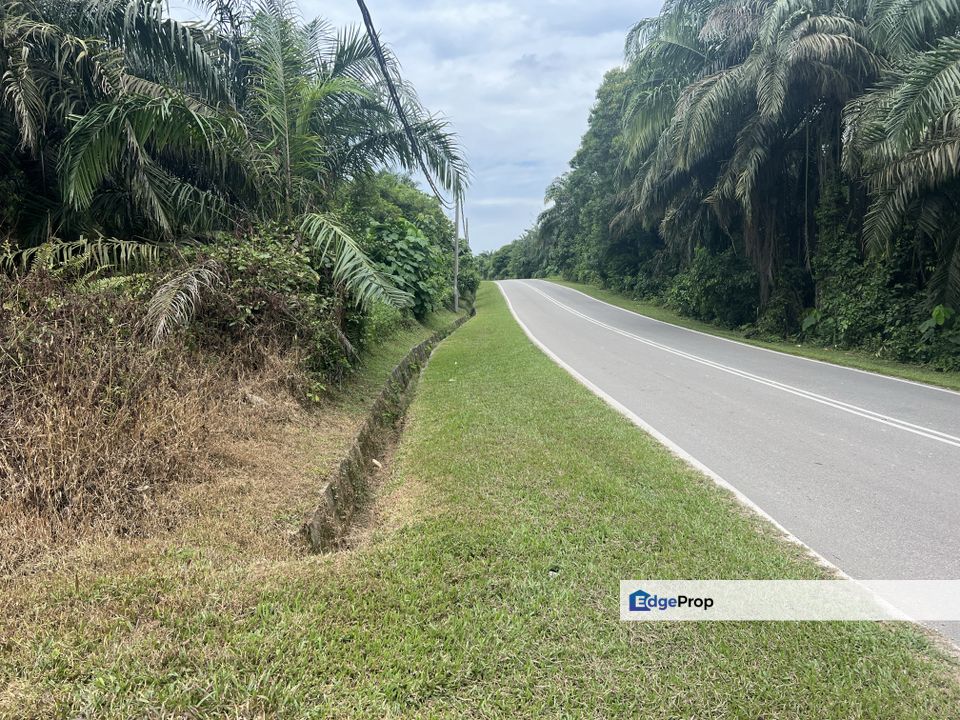 Linggi, 20 Acre Agri Land with 8 yrs Oil Plam Trees-Ready Income, Negeri Sembilan, Port Dickson