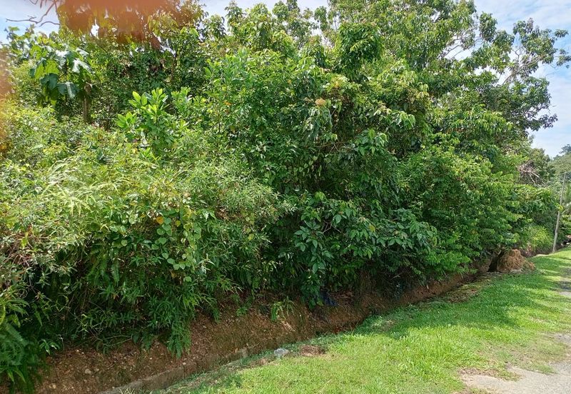 Premium Residential Flat Land at Mambau