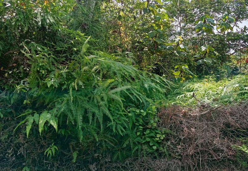 Premium Residential Flat Land at Mambau