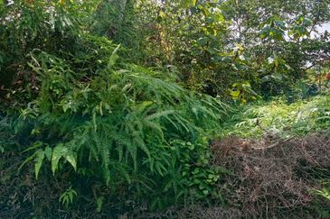 Premium Residential Flat Land at Mambau