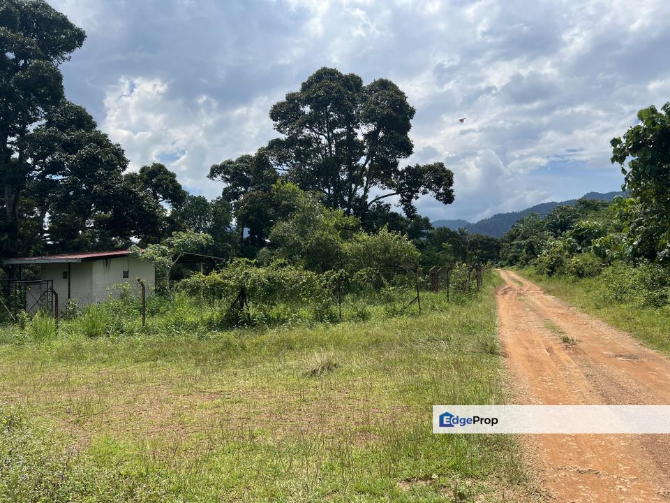 Rembau, Multiple Agriculture Propose Land with Reserve Road for Sale, NSDK, Negeri Sembilan, Tampin