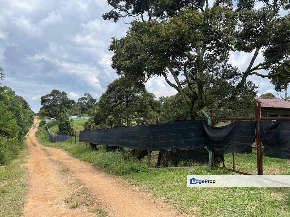 Rembau, Multiple Agriculture Propose Land with Reserve Road for Sale, NSDK, Negeri Sembilan, Tampin