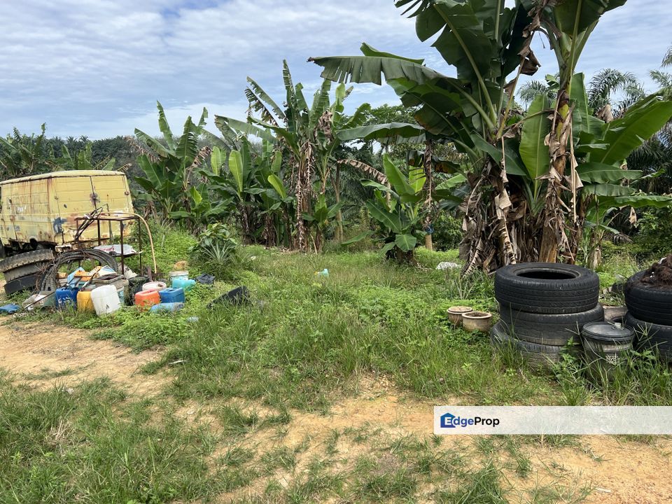Multiple Agriculture Purpose Land, Negeri Sembilan, Tampin