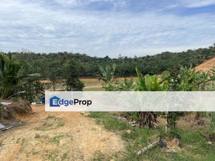 Multiple Agriculture Purpose Land, Negeri Sembilan, Tampin