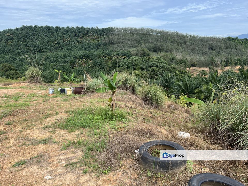 Multiple Agriculture Purpose Land, Negeri Sembilan, Tampin