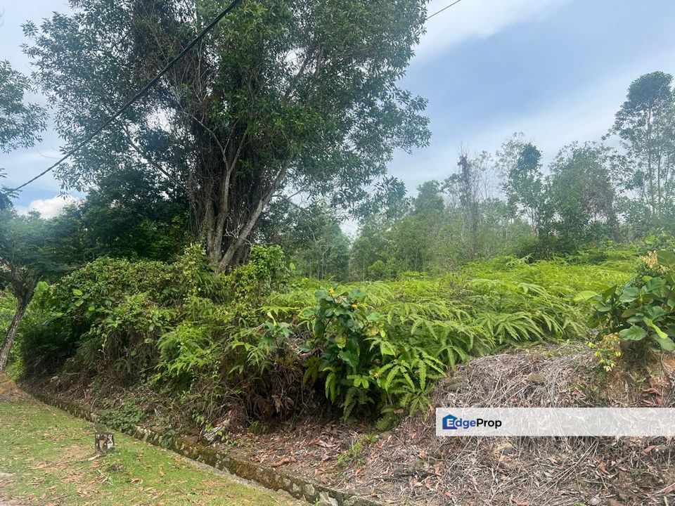 Freehold * Non Bumi Land for Sale - Rasah Kemayan, Seremban, Negeri Sembilan DK, Negeri Sembilan, Seremban