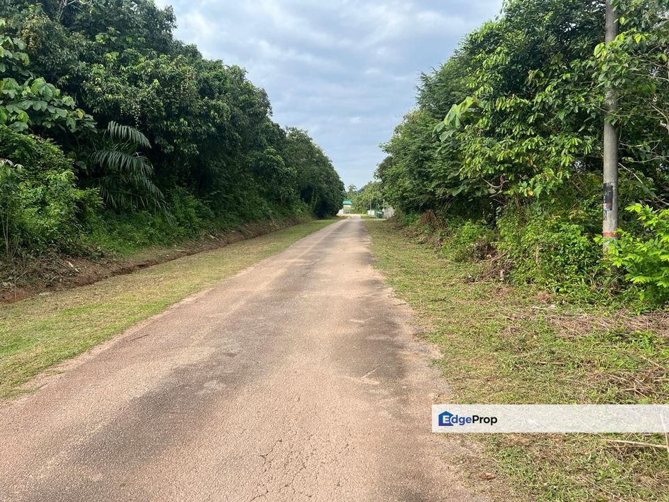 Freehold Non Bumi Land for Sale - Pedas, Linggi @ 1.2 Acres, Negeri Sembilan, Rembau