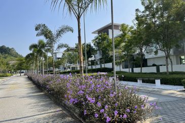 Jacaranda Garden Residence