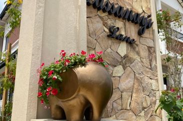 Reef Of Tropics, Setia Eco Glades