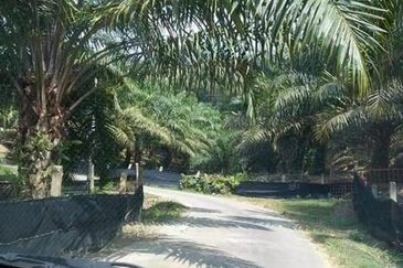 Agriculture and Residential Land For Sale In Johol, Kuala Pilah