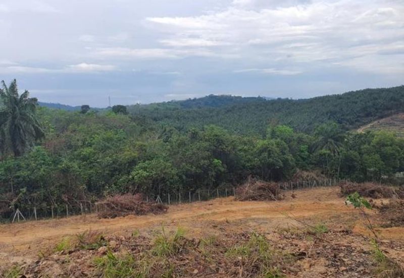 Agriculture and Residential Land For Sale In Johol, Kuala Pilah