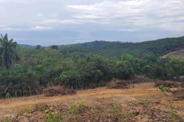 Agriculture and Residential Land For Sale In Johol, Kuala Pilah