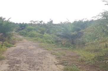 Agriculture and Residential Land For Sale In Johol, Kuala Pilah