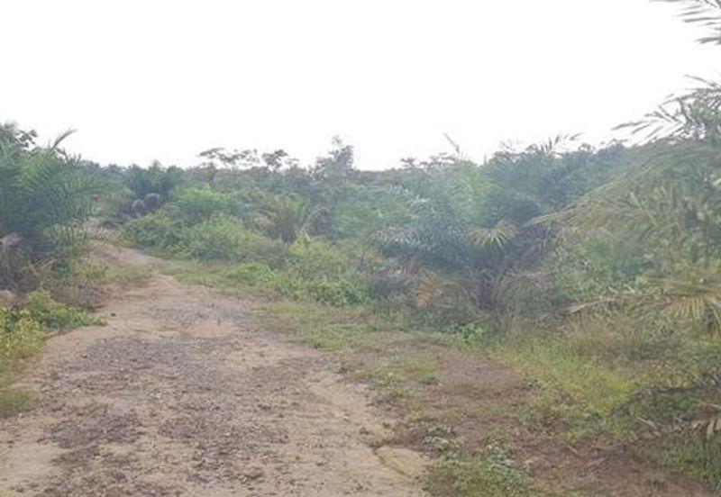 Agriculture and Residential Land For Sale In Johol, Kuala Pilah