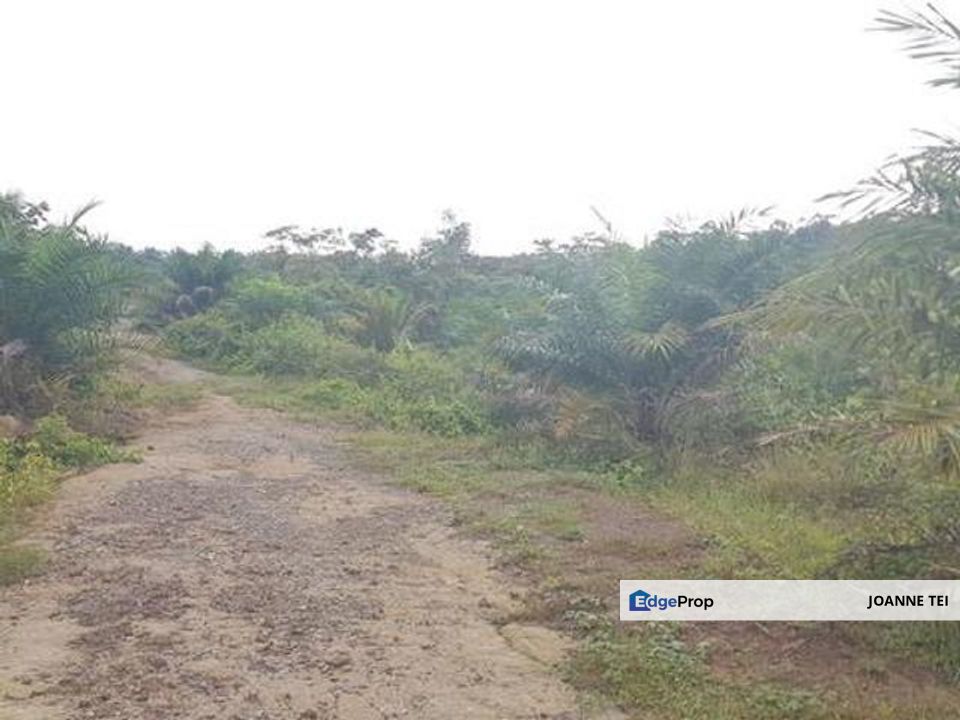 Agriculture and Residential Land For Sale In Johol, Kuala Pilah, Negeri Sembilan, Kuala Pilah