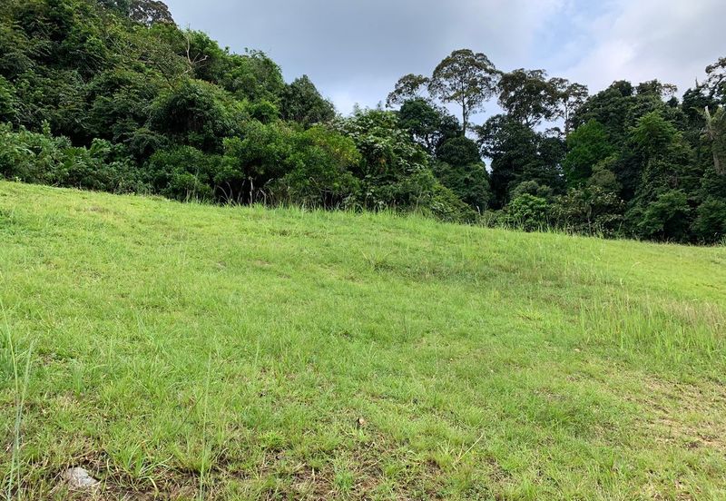 The Peak @ Taman TAR