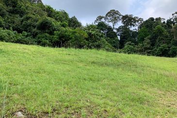 The Peak @ Taman TAR