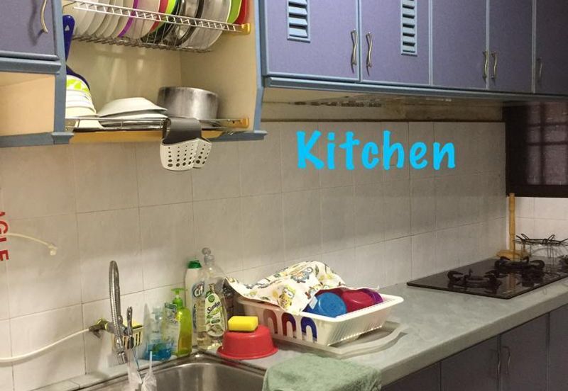 Mutiara Idaman, Jelutong