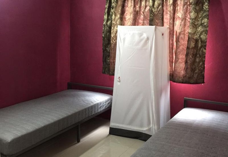 Mutiara Idaman, Jelutong