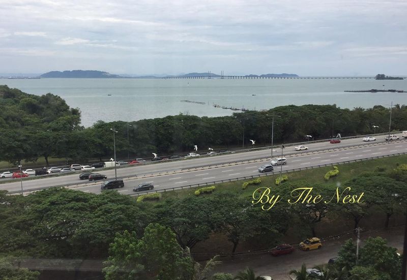 Mutiara Idaman, Jelutong