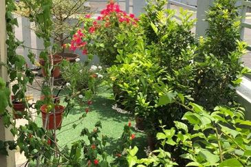 Single Storey End Lot - jalan Kebun, Klang