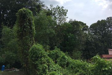 Seksyen 5, Petaling Jaya