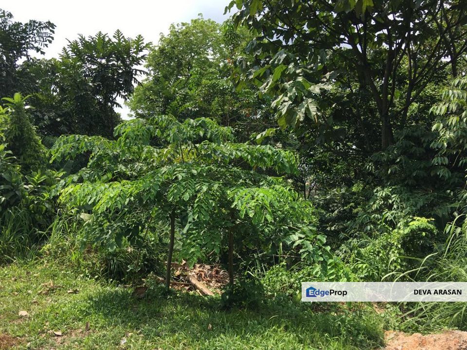 Section 5 PJ Hilltop Freehold Bungalow Land For Sale, Selangor, Petaling Jaya