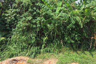 Seksyen 5, Petaling Jaya